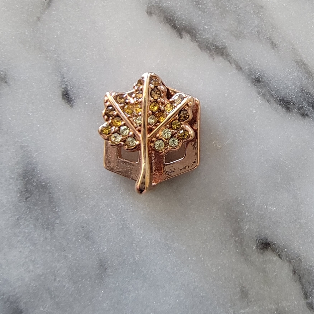 Keep collective leaf charm